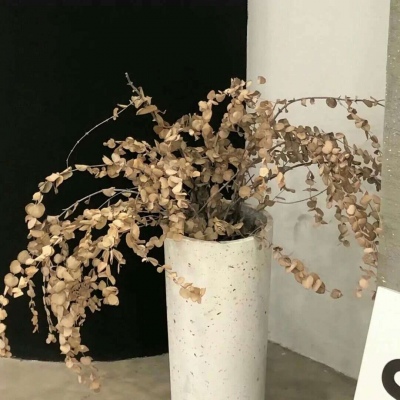 肥东福瑞交流群